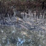 Clear Kayak RentalPeanut Island/West Palm Beach - Who Will Love This Experience?