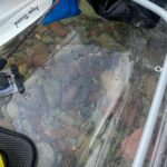 Clear Kayak Rentals for Flathead Lake - The Experience: What You Can Expect