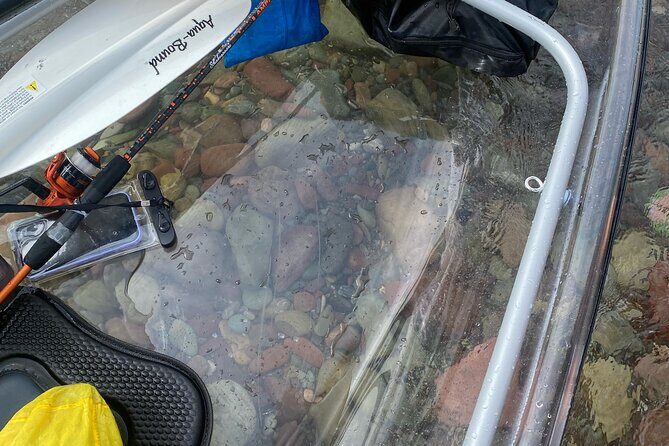 Clear Kayak Rentals for Flathead Lake - The Experience: What You Can Expect