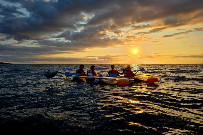 Clear Kayak Sunset and Glow Tour in Maui - A Deep Dive into the Maui Sunset & Glow Kayak Experience