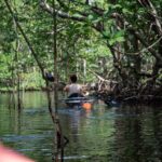 Clear Kayak Tour in North Miami Beach - Mangrove Tunnels - Who Should Consider This Tour?