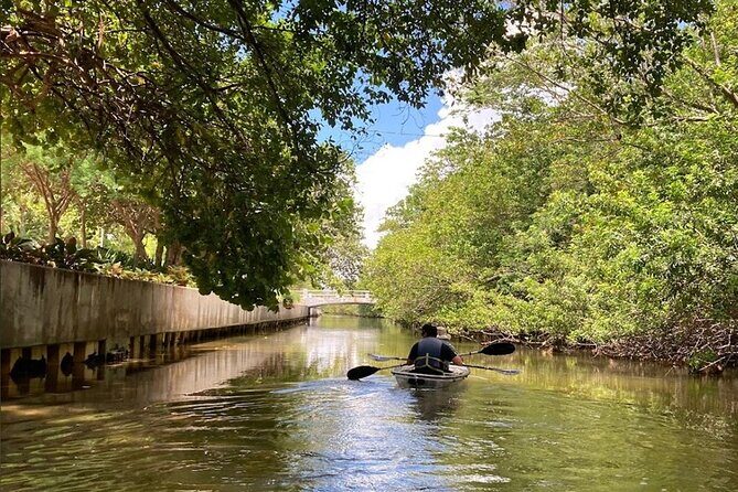 Clear Kayak Tour in South Miami Beach and Biscayne Bay - A Deep Dive into the Clear Kayak Tour Experience