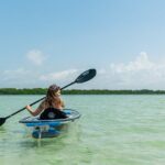 Clear Kayak Tour of Shell Key Preserve and Tampa Bay Area - What to Expect: Practical Details