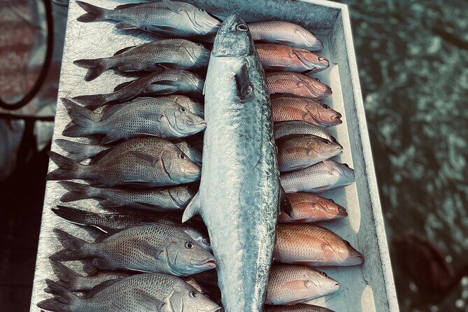 Clearwater Beach Fishing Charter! Half Day of Fishing Fun on the water!!!!! - FAQ