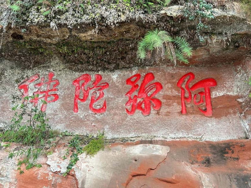 Close to Chengdu: Leshan Giant Buddha & Tasty Local Eats - What Travelers Say