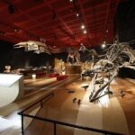 Coal & Fossil Museum Admission Ticket - Final Thoughts