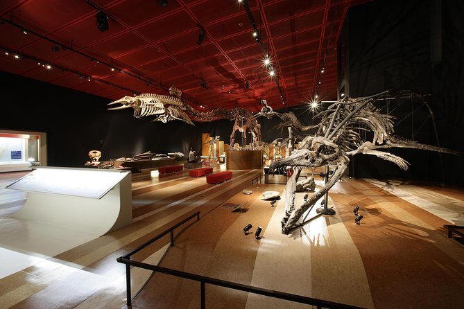 Coal & Fossil Museum Admission Ticket - Final Thoughts