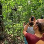 Coba & Monkey Sanctuary Punta Laguna Private Tour - Final Thoughts