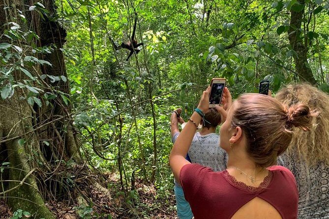 Coba & Monkey Sanctuary Punta Laguna Private Tour - Final Thoughts