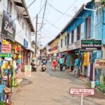 Cochin Private Shore Excursion Expedition with Harbor Cruise - Exploring Cochin: A Heritage and Backwater Adventure in Kerala