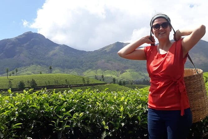 Cochin to Munnar Day trip - Why This Tour Offers Good Value