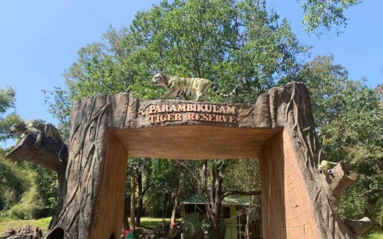 Coimbatore Day Tour: Forest, Wildlife & Hill Station Trip - Practical Tips for Your Trip