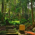 Colmar Tropicale & Japanese Village Day Tour from Kuala Lumpur - Practical Details and Tips