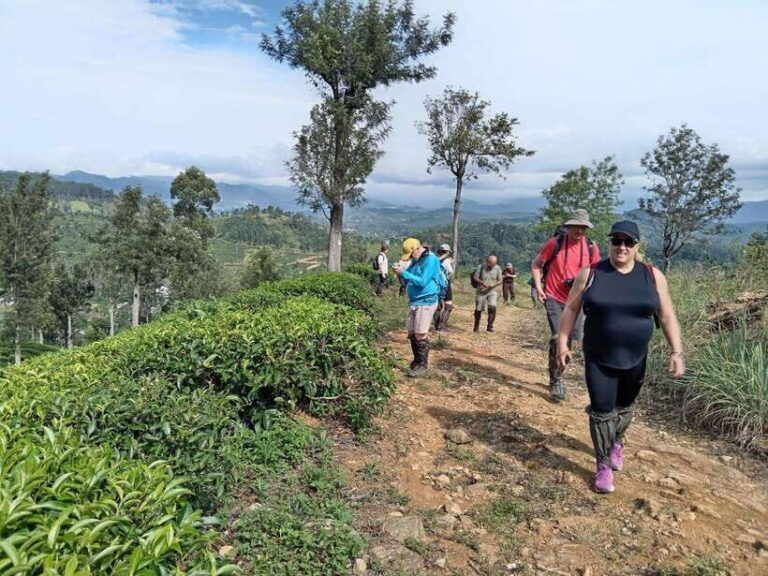 Colombo: 5-Day Hill Country Trekking Itinerary to Ella - Authentic Experiences and Authentic Views