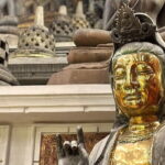 Colombo Highlights Private Tuk Tuk City Tour  Essentials - In-Depth Look at the Itinerary