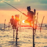 Colombo/Negombo - Galle Fort & Bentota Beach Day Tour - An In-Depth Look at the Colombo/Negombo - Galle Fort & Bentota Beach Day Tour