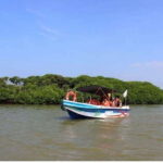Colombo/Negombo: Muthurajawela & Dutch Canal Boat Adventure - A Detailed Look at the Tour Experience