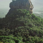 Colombo/Negombo: Sigiriya, Dambulla Cave, & Safari Day Tour - What We Think: The Pros and Cons