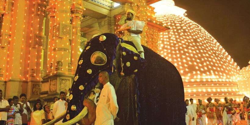 Colombo Port Shore Excursions Colombo City & Kalaniya Temple - What You Can Expect During the Tour