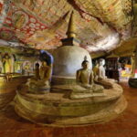Colombo: Sigiriya, Dambulla Caves, & Wildlife Day Tour - In-Depth Review of the Tour Experience