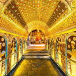 Colombo to Kandy, Pinnawela and Tea Factory Day Tour - Authentic Moments and Authenticity