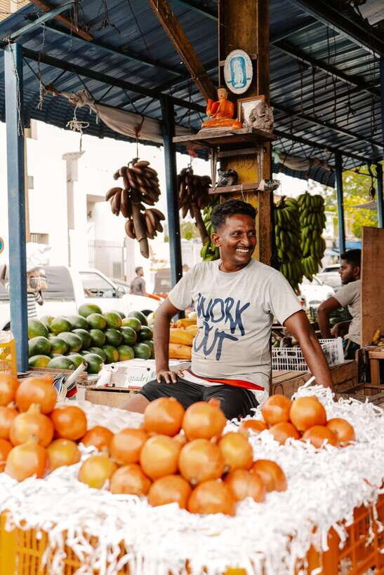 Colombo: TropiQuest City Discovery Game - A Detailed Look at the Colombo TropiQuest Experience