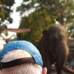 Colombo Tuk Tour with Food and Drinks(morning and evening) - The Details of the Experience