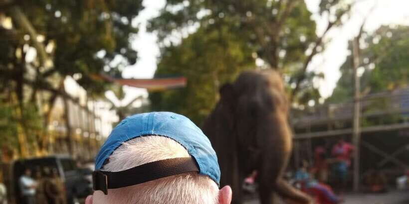 Colombo Tuk Tour with Food and Drinks(morning and evening) - The Details of the Experience