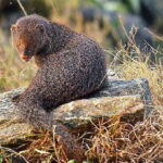 Colombo: Water rafting, Bird Watching, Village & Rainforest - Is It Worth the Price?