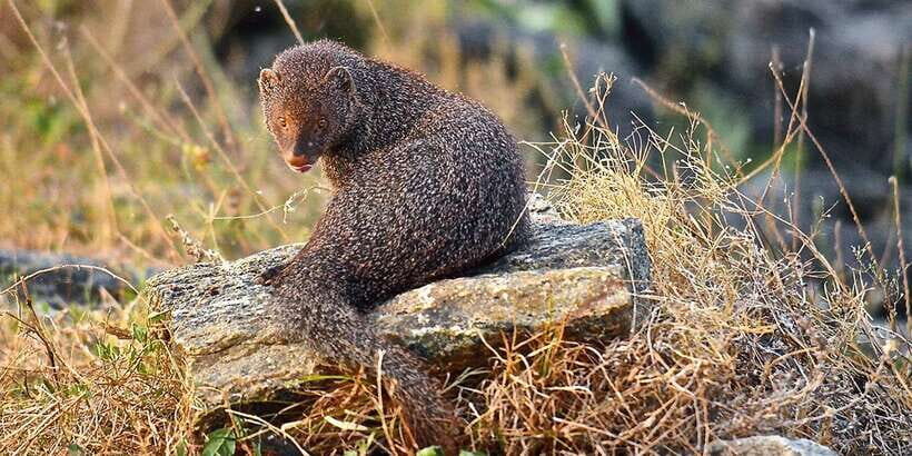 Colombo: Water rafting, Bird Watching, Village & Rainforest - Is It Worth the Price?