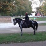 Colonial Williamsburg Ghost Stories and Walking Tour - Who Will Love This Tour?