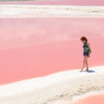 Coloradas Pink Lagoon Adventure from Playa del Carmen and Riviera Maya - Who Will Love This Tour?