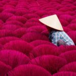 Colors of Incense village Quang Phu Cau - FAQ
