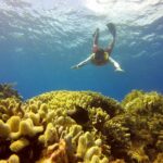 Combo 2 Caribbean Islands: Isla Mujeres, Cozumel with snorkel - Past Traveler Perspectives