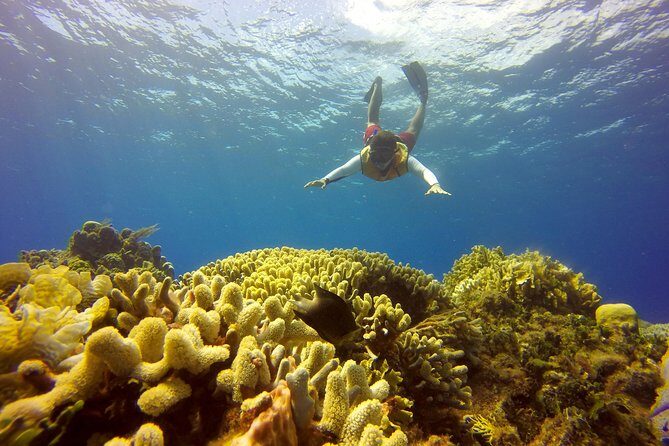 Combo 2 Caribbean Islands: Isla Mujeres, Cozumel with snorkel - Past Traveler Perspectives