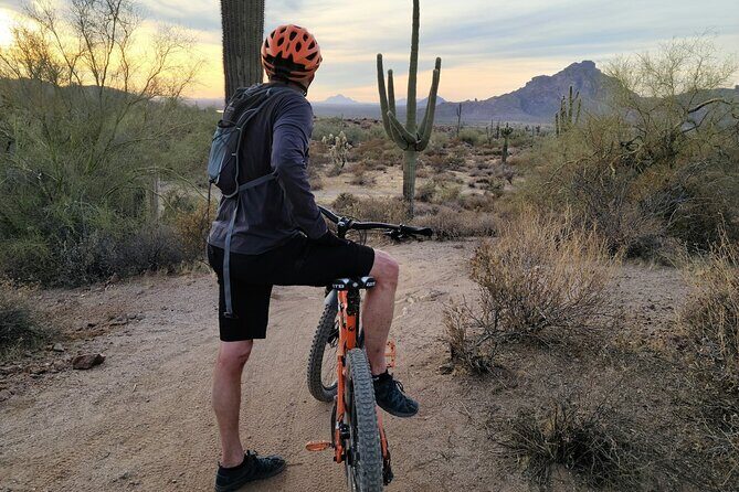 Combo E-Bike Adventure with Camels and Lunch in Cabo - Who Should Consider This Tour?