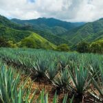 Combo Extreme Adventure + San Sebastian - Action-Packed Adventure at Las Palmas de Arriba