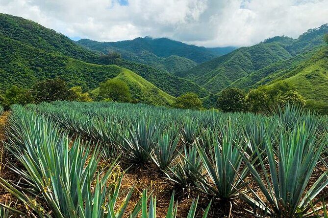 Combo Extreme Adventure + San Sebastian - Action-Packed Adventure at Las Palmas de Arriba