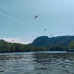 Combo Langkawi Cable Car & Sky Bridge With Mangrove Private Boat - Who Is This Tour Best For?