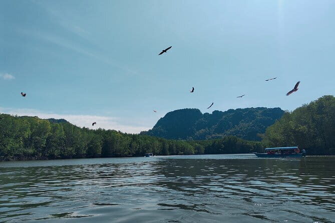 Combo Langkawi Cable Car & Sky Bridge With Mangrove Private Boat - Who Is This Tour Best For?