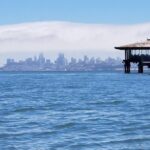 Combo Small-Group Tour: SF City plus Muir Woods & Sausalito - What Travelers Say: Authentic Perspectives from Reviews