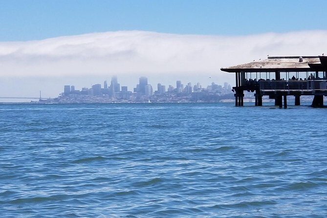 Combo Small-Group Tour: SF City plus Muir Woods & Sausalito - What Travelers Say: Authentic Perspectives from Reviews