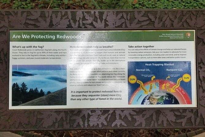 Combo Tour: Muir Woods, Sausalito and Sonoma Wine Country Tour - Practical Tips for the Tour