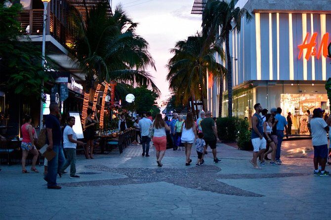 Combo Tour: Tulum, Cenote and 5th Avenue in Playa Del Carmen from Cancun - Who Is This Tour Best For?