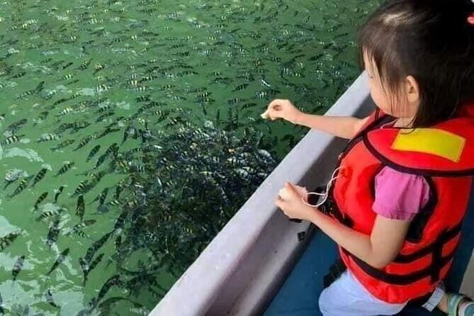 Combo:Langkawi Snorkeling & Tg Rhu mangrove private boat tour - Final Thoughts: Is It Worth It?