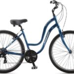 Comfort Bike for the Day - Final Thoughts