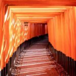 Compact Kyoto day tour experience - Exploring the Day in Detail