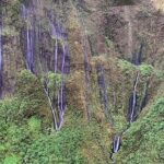 Complete Island 60-Minute Helicopter Tour - FAQs