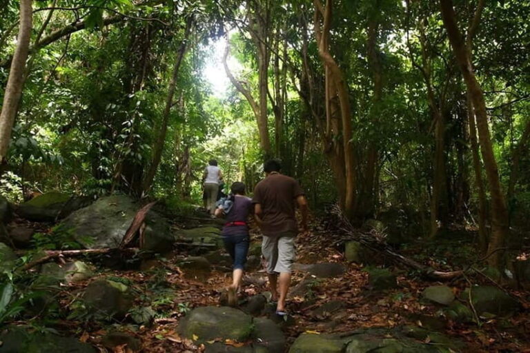 Con Dao: Journey Through So Ray  A Natural Wonder - Analyzing the Value