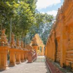 Con Son Islet  The Precious Gem Of Can Tho - Exploring Con Son Islet: A Peaceful Retreat with Rich Flavors and Friendly Faces